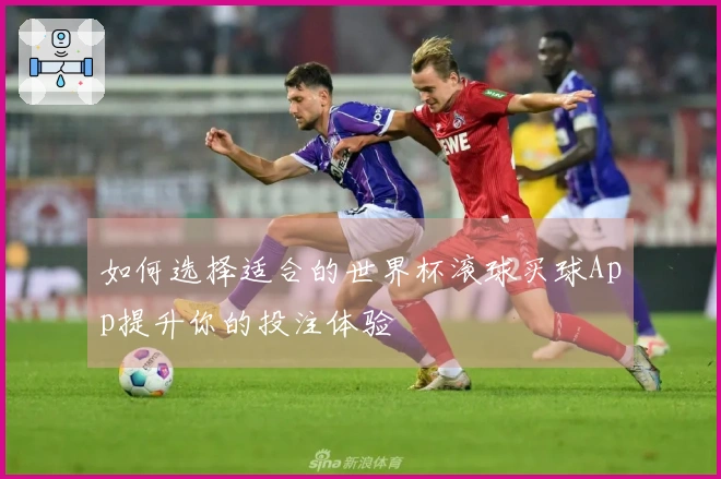 如何选择适合的世界杯滚球买球App提升你的投注体验