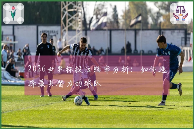2026世界杯投注赔率分析：如何选择最具潜力的球队
