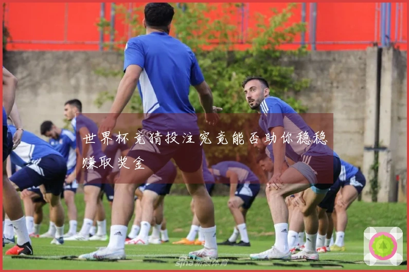 世界杯竞猜投注究竟能否助你稳稳赚取奖金