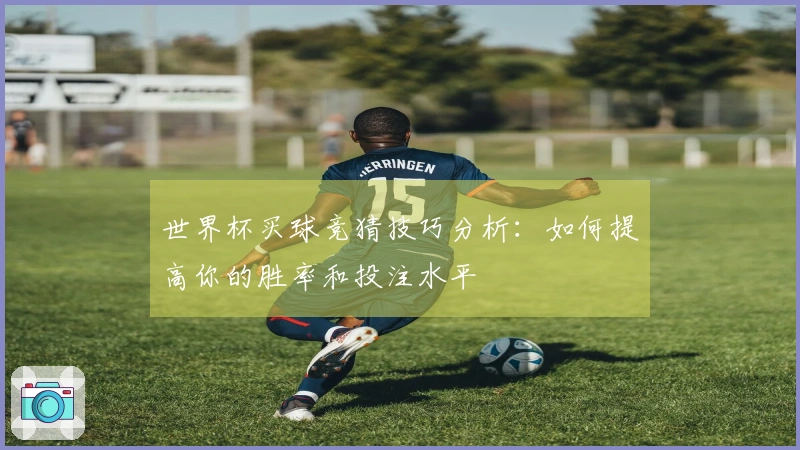 世界杯买球竞猜技巧分析：如何提高你的胜率和投注水平