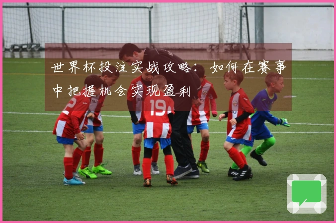 世界杯投注实战攻略：如何在赛事中把握机会实现盈利