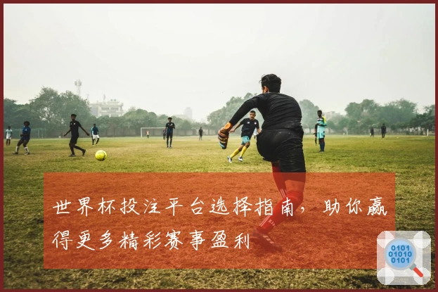 世界杯投注平台选择指南,助你赢得更多精彩赛事盈利