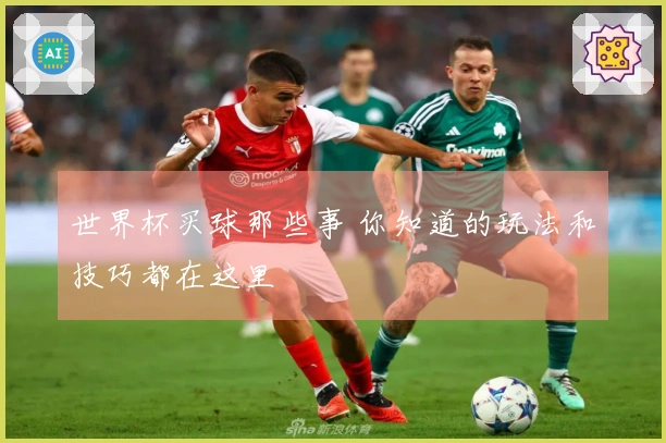 世界杯买球那些事 你知道的玩法和技巧都在这里