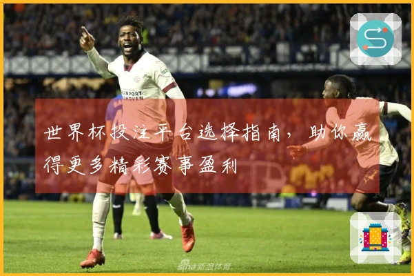 世界杯投注平台选择指南，助你赢得更多精彩赛事盈利