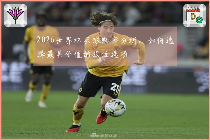 2026世界杯买球赔率分析，如何选择最具价值的投注选项
