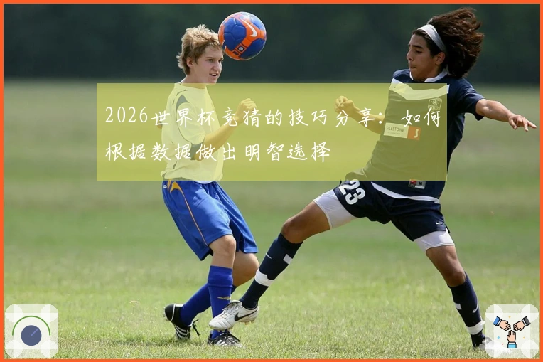 2026世界杯竞猜的技巧分享：如何根据数据做出明智选择
