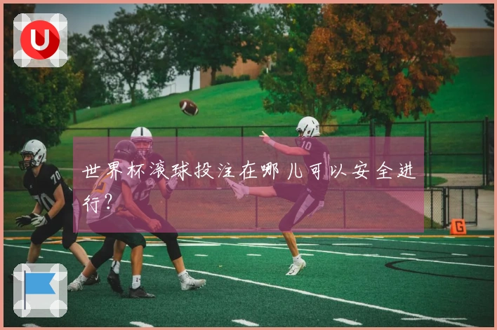 世界杯滚球投注在哪儿可以安全进行？