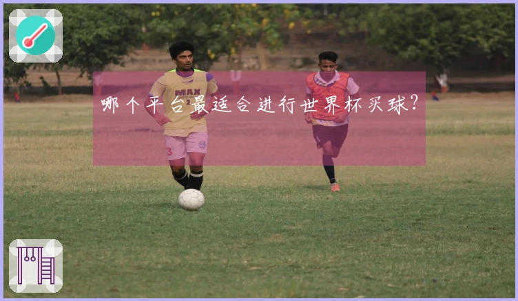 哪个平台最适合进行世界杯买球？
