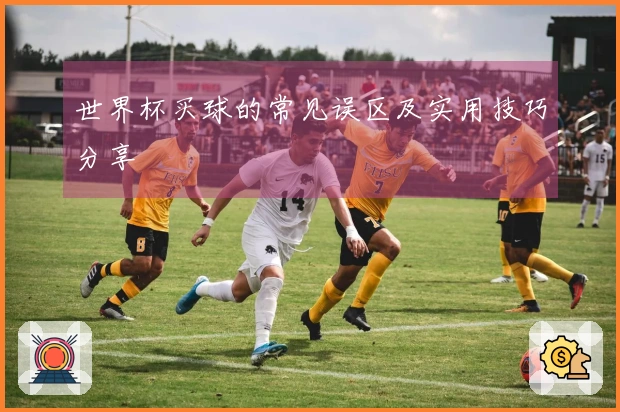 世界杯买球的常见误区及实用技巧分享