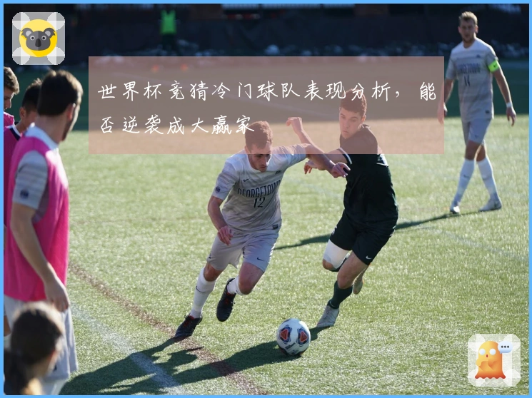 世界杯竞猜冷门球队表现分析，能否逆袭成大赢家