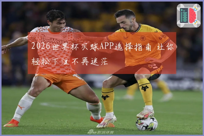2026世界杯买球APP选择指南 让你轻松下注不再迷茫