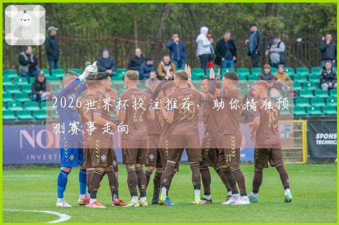 2026世界杯投注推荐，助你精准预测赛事走向