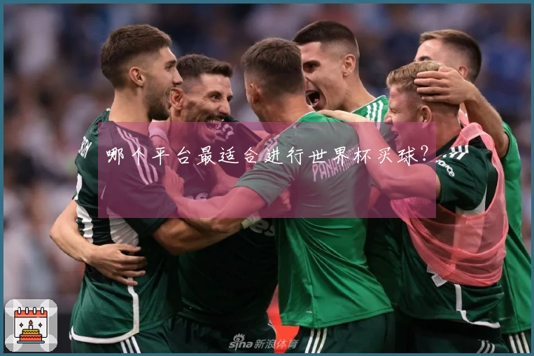 哪个平台最适合进行世界杯买球？